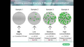 Foundational Counting in ddPCR [upl. by Weiss770]