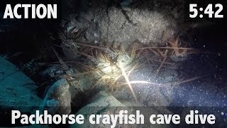 PACKHORSE CRAYFISH CAVE DIVE [upl. by Serle]