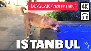 VADI ISTANBUL Night Walk Super Luxury Mall MASLAKISTANBUL TOUR [upl. by Nagiem]