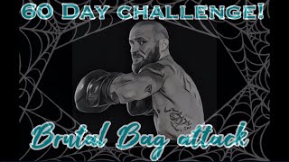 60 Day peekaboo Boxing Bag challenge New combo everyday [upl. by Atinus]