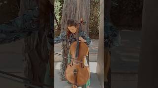 Albinoni Adagio in G minor  cello [upl. by Ludovick]