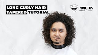 Haircut Tutorial  Long Curly Hair Tapered [upl. by Atinihc]