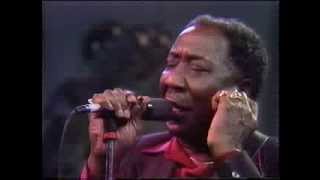 Muddy Waters  The Living Legends of Blues [upl. by Winnick]