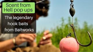 Carp fishing  Baitworks Scent from Hell pop ups [upl. by Cutcheon321]