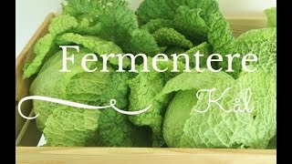 Hvordan fermentere kål  sauerkraut [upl. by Weidar]