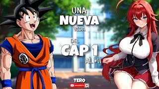 Que hubiera pasado si Goku caia en DxD del cap 1 al 11 [upl. by Clarine]