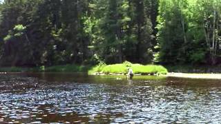 North Branch Penobscot River Part 2 [upl. by Jobyna742]