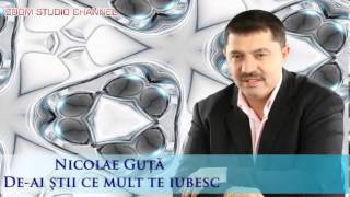 NICOLAE GUTA  DEAI STII CE MULT TE IUBESC ZOOM STUDIO [upl. by Aniloj861]