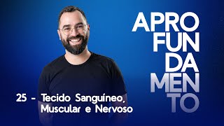 Aprofundamento 25  Tecidos sanguíneo muscular e nervoso [upl. by Husein]