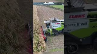 CLAAS село сельскоехозяйство мтз деревня трактор farming агро youtube [upl. by Nyltak]