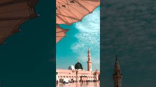 Subhan Allah 💚🕋💞🌹sorts sortssorts ytshort youtubeshorts status likeandsubscribe [upl. by Imuya908]