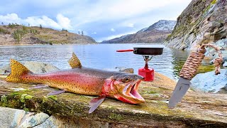 BIG Trout Catch amp Cook SOLO Fishing a SECRET COVE [upl. by Ramsey]