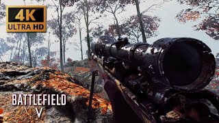 French War Story quotTirailleurquot  Battlefield 5  Gameplay Walkthrough [upl. by Allimac]