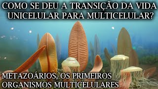 Como a Evolução Salta da Vida Unicelular para Vida Multicelular EP 04 [upl. by Niahs]