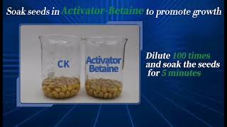 Activator Betaine A formulation designed for seeds germination uniform seedling [upl. by Jeritah821]