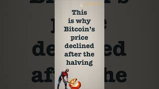 Here’s why Bitcoin’s price is down since the halving [upl. by Adnoved]