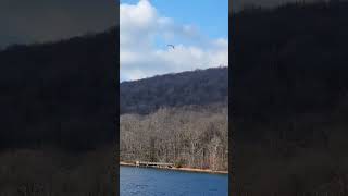 explorelocustlakepa beautifulplacestheearth lovelyricslovelyviewlovelysong shortsvideo [upl. by Sidnala470]