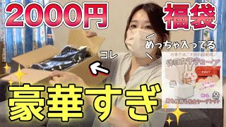 【2000円で20点入り福袋】1品100円で買えるなんて信じられないですね、コスパ最強ォォ【福袋オタク】 [upl. by Margarita]