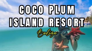 Coco Plum All Inclusive Resort Dangriga Belize [upl. by Cliff645]