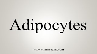 How To Say Adipocytes [upl. by Aihsem984]