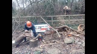 Jonsered 2054 Turbo Chainsaw Quick overview amp cutting before sending to new owner [upl. by Boorman]