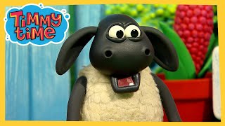 Tidy Up 🗑️ Best of Timmy Time 🐑 [upl. by Gus]