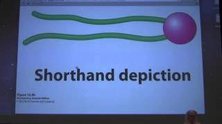 29 Kevin Aherns Biochemistry  Lipids and Membranes [upl. by Nosreg]