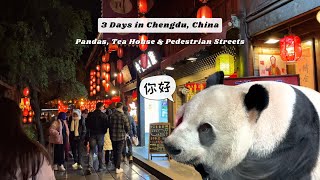 CHENGDU in 3 Days Panda Research Base KuanZhai Alley Peoples Park JinLi Pedestrian Street 🐼🌳⛩️ [upl. by Inafit]