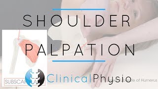 Shoulder Palpation  Clinical Physio Premium [upl. by Britta]