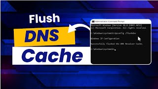 How to Fix Slow Internet Flush DNS and IP Cache in 5 Easy Steps [upl. by Cookie755]