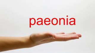 How to Pronounce paeonia  American English [upl. by Casia]