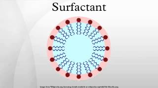 Surfactant [upl. by Livesay29]