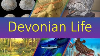 Life Of The Devonian Period [upl. by Morvin]