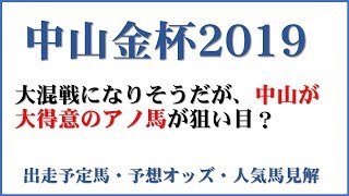 「中山金杯2019」出走予定馬・予想オッズ・人気馬見解 [upl. by Solakcin]