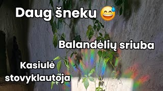 Tualeto interjeras  Vegan balandėlių sriuba  Keramika  Putės  Statybos  Saldapirskiai [upl. by Aleit832]