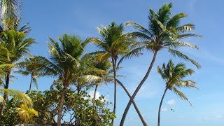 IviaggidiGianampMery  CARAIBI 2018  GUADALUPE  SAINT LUCIA  BARBADOS [upl. by Grant]