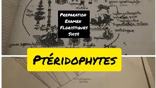 Préparation dexamen de Floristique Ptéridophytes SVIS4 [upl. by Jempty]