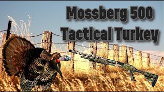 Mossberg 500 Tactical Turkey—Added Turkeykilling Power Part 2 [upl. by Esmerolda]