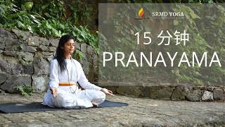 15分钟调息法 （Pranayama  SRMD 瑜伽  SRMD Mandarin [upl. by Yran]