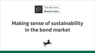 Making sense of sustainability in the bond market [upl. by Bittner306]