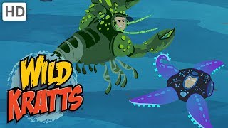 Wild Kratts  When Animals Defend Themselves Survival of the Fittest [upl. by Aieken181]