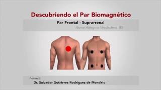 PAR FRONTALSUPRARRENAL ASMA ALERGICO VERDADERO PAR ESPECIAL DEL DR SALVADOR GUTIERREZ [upl. by Gross565]