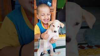 Vibhu felt excited with his new playing mate  dog pets baby petslove petslover [upl. by Milty]