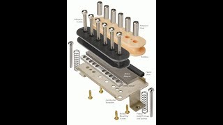 The Differences Between Alnico Guitar Pickups [upl. by Ellezaj]