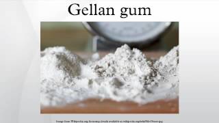 Gellan gum [upl. by Horn]