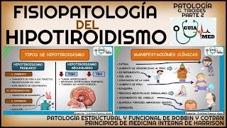 HIPOTIROIDISMO FISIOPATOLOGÍA  GuiaMed [upl. by Opiak]