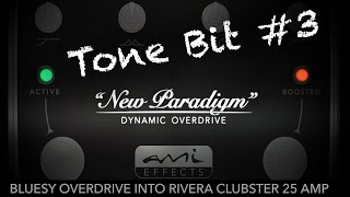 New Paradigm Overdrive  Tone Bit 3  Bluesy overdrive in clean Rivera Clubster combo [upl. by Nagy370]