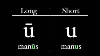 The Latin Alphabet  Vowel Pronunciation [upl. by Mellman881]