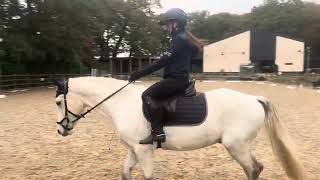 Erider dressage test novice 3a [upl. by Phail]