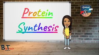 Protein Synthesis A levelBTEC Applied Science  BioTeach [upl. by Rafat158]